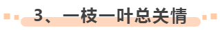 20191210162523_5563.png
